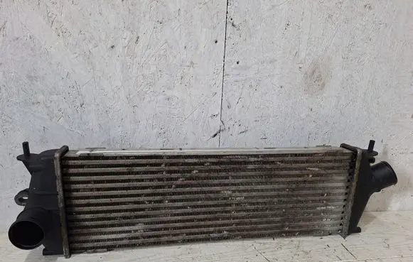 Renault Trafic II (X83) Intercooler radiator 992563JB