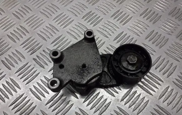 Mazda 3 I Alternator belt tensioner pulley 
