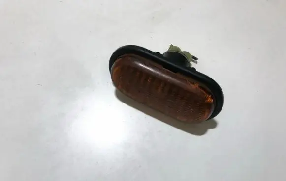 Front fender indicator light