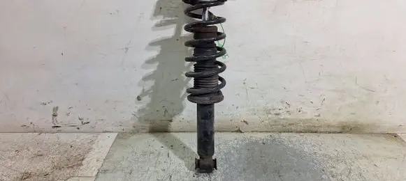 BMW X3 F25 Rear shock absorber/damper 6796422