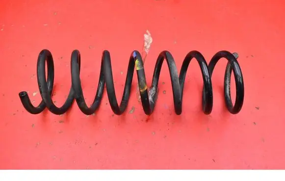 Rear coil spring