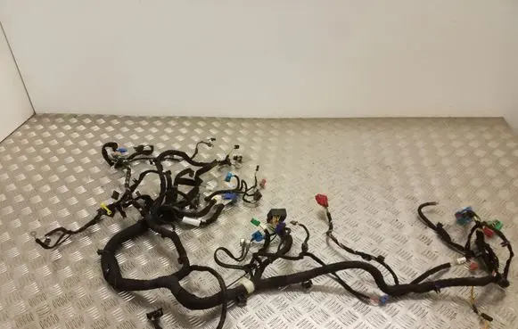 Peugeot 508 Panel wiring 9808756680