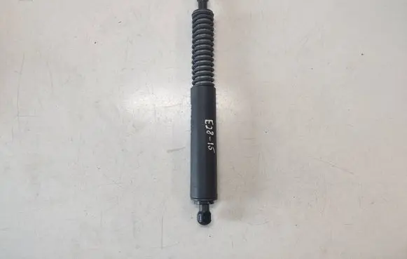 Tailgate/trunk strut/damper