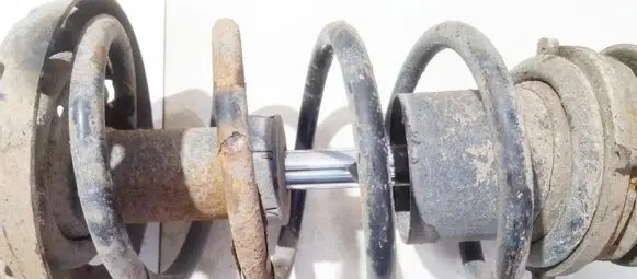 Front coil spring