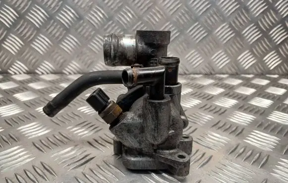 Thermostat/thermostat housing