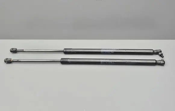 Tailgate/trunk strut/damper