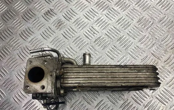 Volkswagen Golf V EGR valve cooler 038131513AD