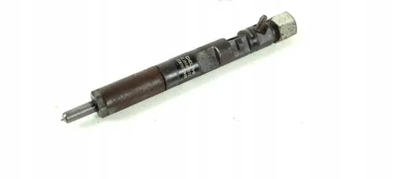 Renault Kangoo I Fuel injector EJBR05102D