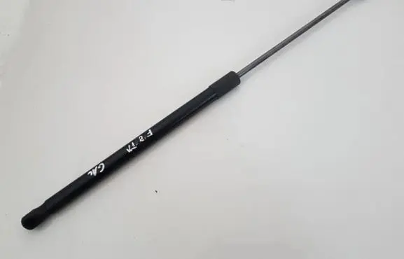 Tailgate/trunk strut/damper
