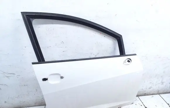 Seat Ibiza IV (6J,6P) Front door