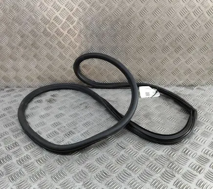 Opel Ampera Rubber seal rear door 20993868