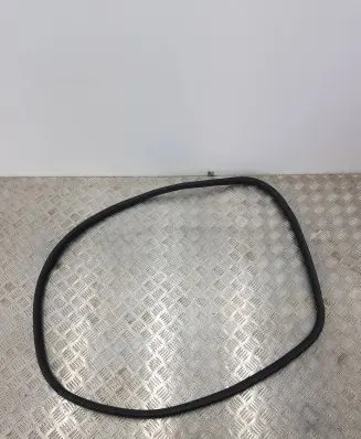 Citroen C3 Rear door rubber seal (on body) 9813059680