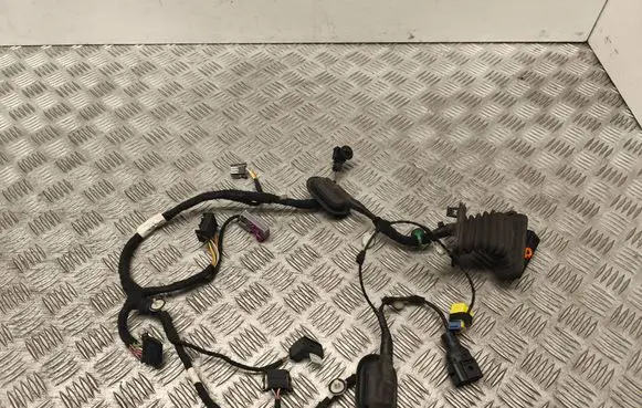 Volkswagen Golf V Front door wiring loom 1K0959843C 1K5971121BJ