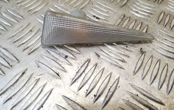 Front fender indicator light