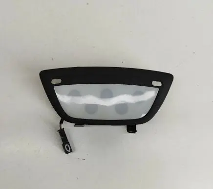 Tesla Model X Front seat light 104736400B
