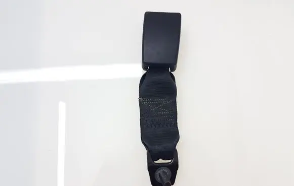 Ford Edge II Middle seatbelt buckle (rear) FT4BR611C72 FT4BR611C72AC3ZHE 1152930054