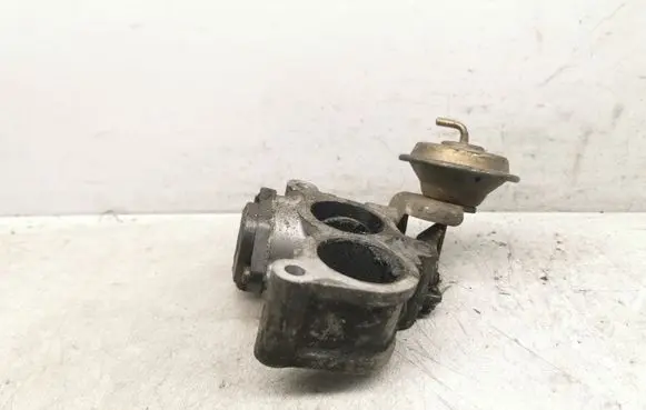Throttle body valve