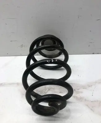 Volkswagen PASSAT B5.5 Rear coil spring