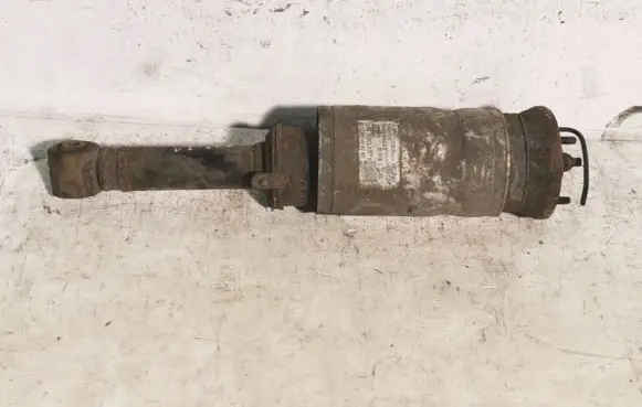 Land Rover Range Rover Sport L320 Front air suspension shock absorber 3498720