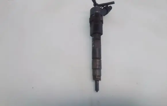 Renault Laguna II Fuel injector 7700111014