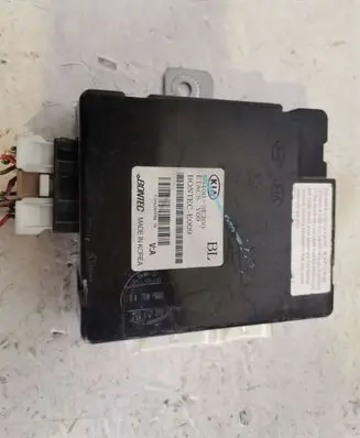 KIA Sorento Other control units/modules 954003E200