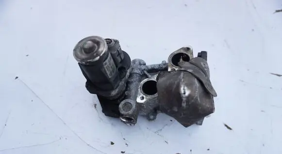 Volkswagen Polo V 6R EGR valve