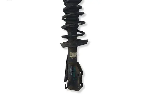 Opel Insignia A Front shock absorber with coil spring 132459729 039E4612 367327999