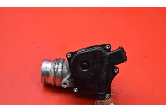 Throttle body valve