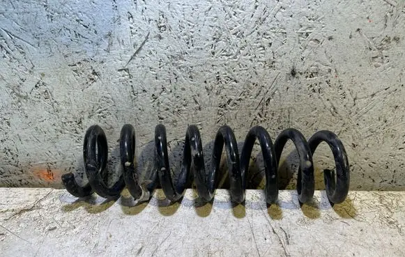 Rear coil spring
