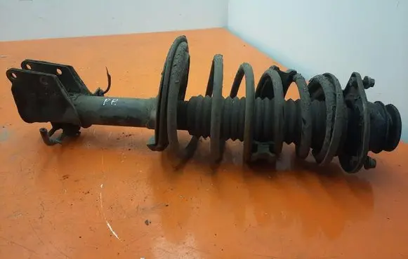 Fiat Doblo Front shock absorber with coil spring 46812365