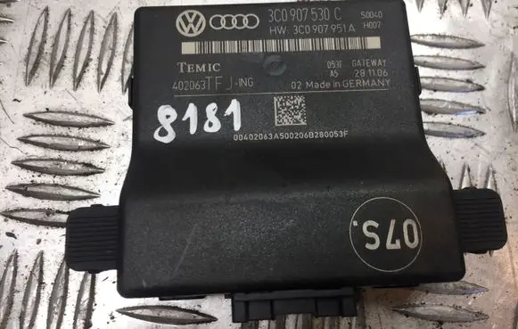 Volkswagen PASSAT B6 Gateway control module 3C0907530C 8181