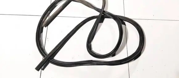 Citroen Xsara Picasso Rubber seal rear door 