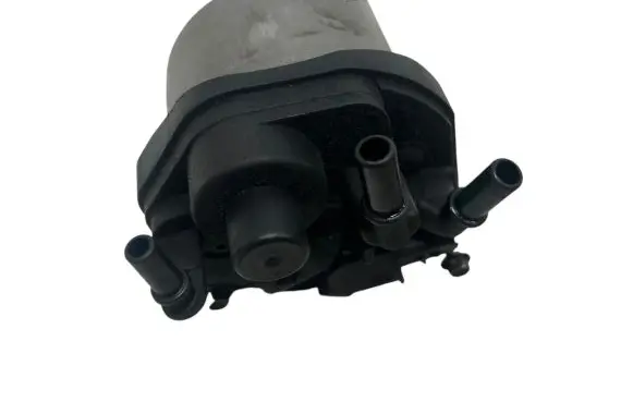 Citroen DS5 Fuel filter 9672314980