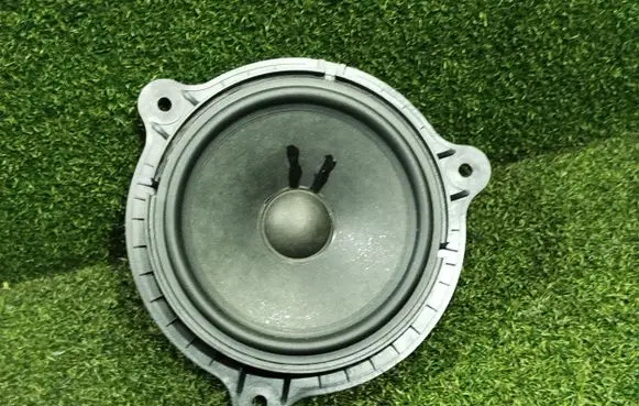 Renault Kangoo III Front door speaker A4538270200 281569368R