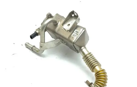 Hyundai i20 (BC3 BI3) EGR valve cooler 2841007600 4432117