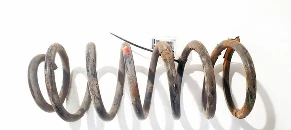 Rear coil spring