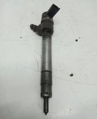 Volvo V70 Fuel injector 0445110251