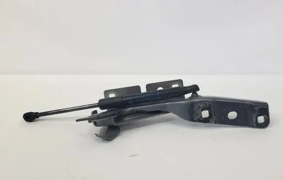 Renault Austral Engine bonnet/hood hinges 654012611r
