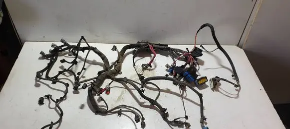 Dacia Sandero II Other wiring loom 240111332R 12491 0A0000