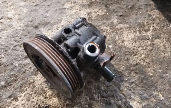 KIA Carnival Power steering pump
