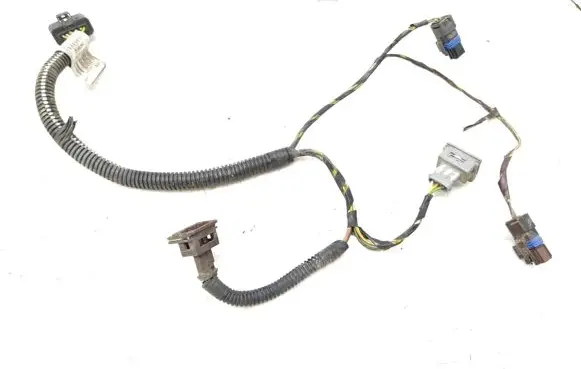 Other wiring loom