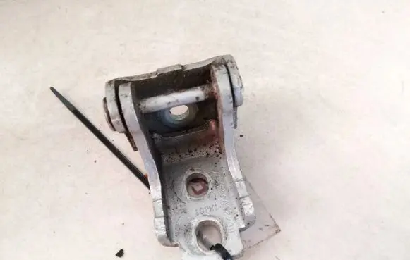Renault Megane III Rear door lower hinge 804200003rh