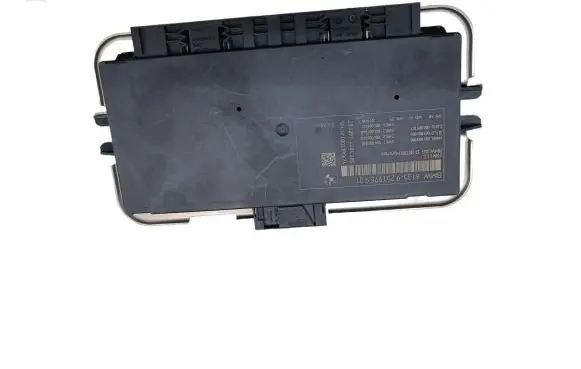 BMW 5 F10 F11 Light module LCM 61359250454901 613592504549 9250454