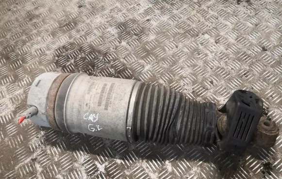 Porsche Cayenne (9PA) Rear shock absorber/damper 7L5512021AM