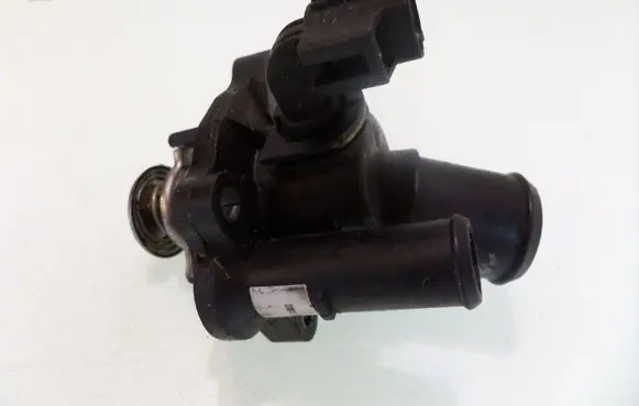 Thermostat/thermostat housing