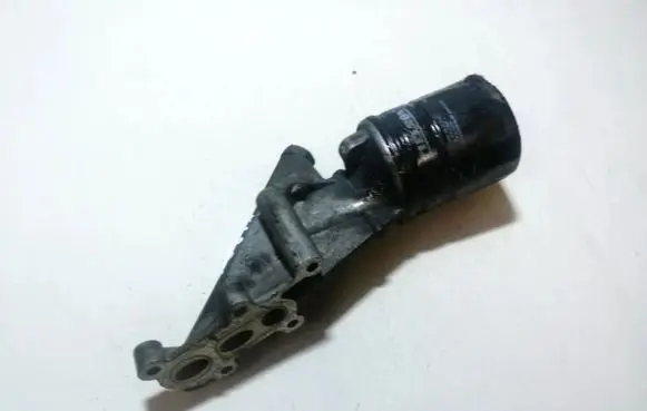 Peugeot 406 Oil filter cover 