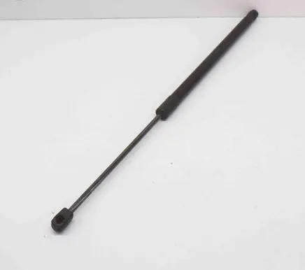Tailgate/trunk strut/damper