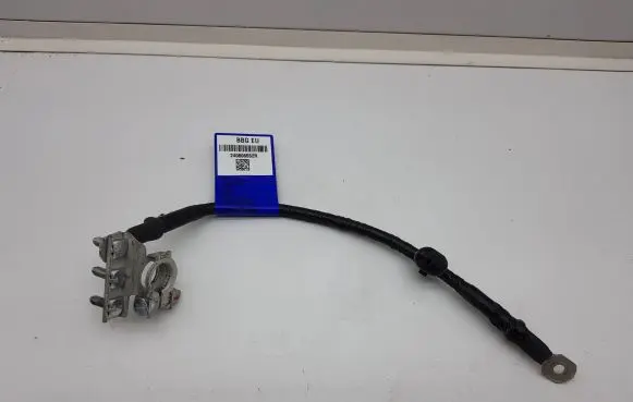 Dacia Spring Negative earth cable (battery) 240806552R