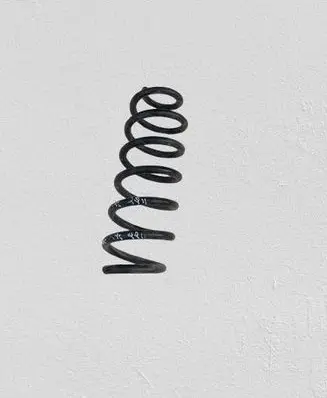 Nissan Qashqai Front coil spring