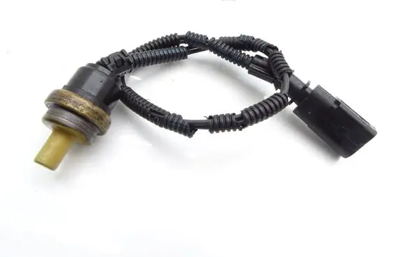 Volkswagen Touareg I Intake air temperature sensor 070919501B